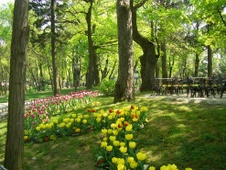 Enlarge photo 9