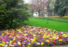 Enlarge photo 11