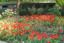 Enlarge photo 15