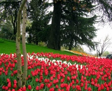 Enlarge photo 18
