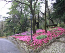 Enlarge photo 22