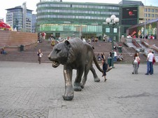 Enlarge photo 59