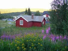 Enlarge photo 61