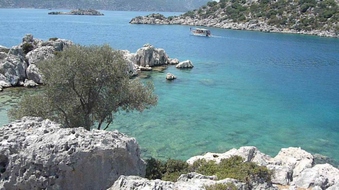 Enlarge photo 20