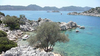 Enlarge photo 19