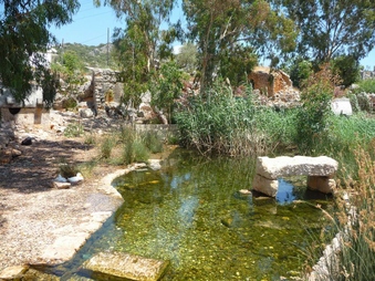 Enlarge photo 15