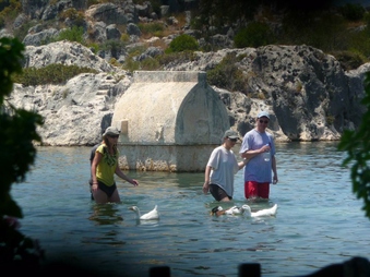 KEKOVA2D