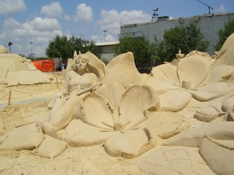 Enlarge photo 16