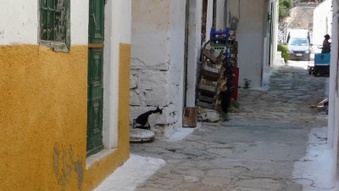 Enlarge photo 21