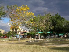 Enlarge photo 65
