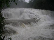 Enlarge photo 85