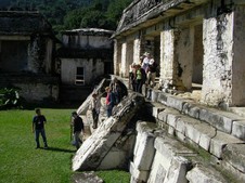 Enlarge photo 95
