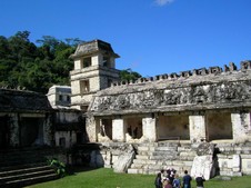 Enlarge photo 96