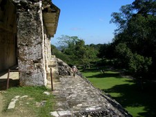 Enlarge photo 97