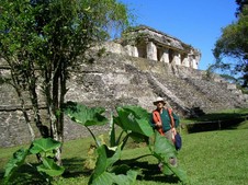 Enlarge photo 104