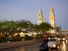 Enlarge photo 113