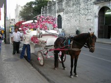 Enlarge photo 121