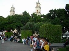 Enlarge photo 122