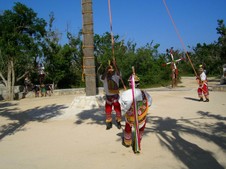 Enlarge photo 151