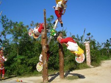 Enlarge photo 152