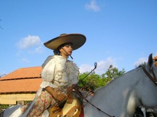 Enlarge photo 154