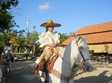 Enlarge photo 155