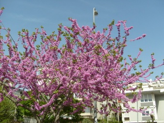 Enlarge photo 15