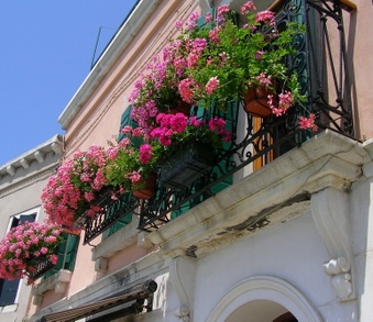 Enlarge photo 34