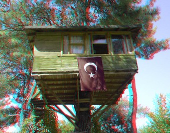 Enlarge photo 28
