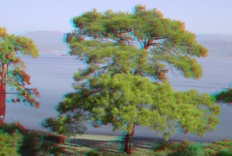 Enlarge photo 29