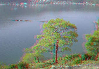 Enlarge photo 31