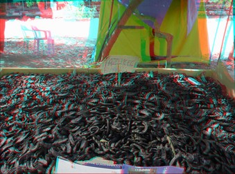 Enlarge photo 33