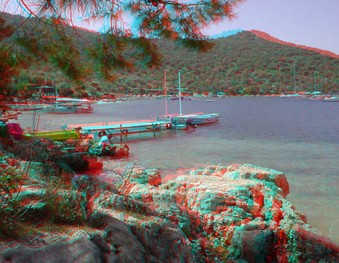 Enlarge photo 53