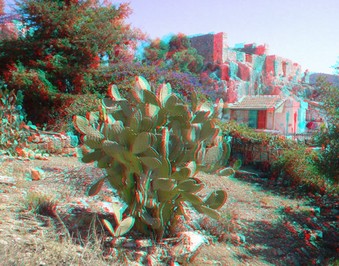 Enlarge photo 59