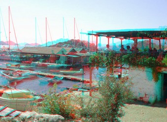 Enlarge photo 61