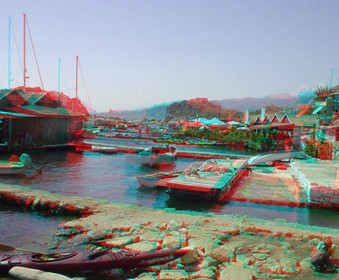 Enlarge photo 62
