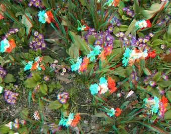 Enlarge photo 40