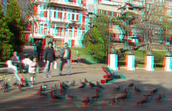 Enlarge photo 8