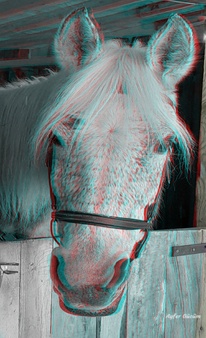 Enlarge photo 25