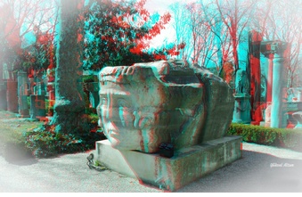 Enlarge photo 24