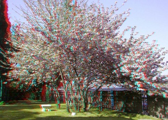 Enlarge photo 52