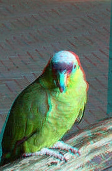 Enlarge photo 40