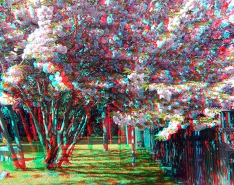 Enlarge photo 53