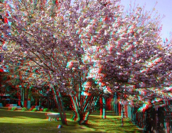Enlarge photo 54