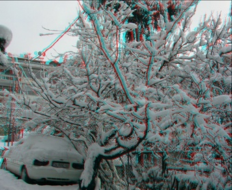 Enlarge photo 46