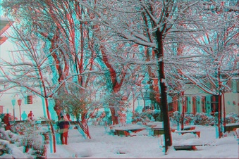 Enlarge photo 45
