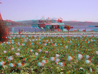 Enlarge photo 55