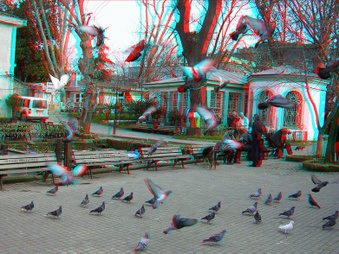 Enlarge photo 35