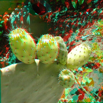 Enlarge photo 33