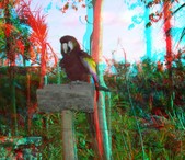 Enlarge photo 18
